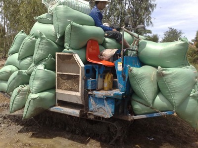 Những cánh đồng không có con đường Những cánh đồng không có con đường