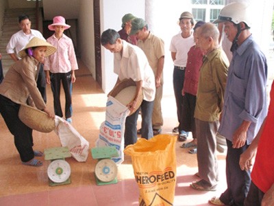 Cận cảnh cái đói xứ Thanh - Kỳ 2 Cận cảnh cái đói xứ Thanh - Kỳ 2