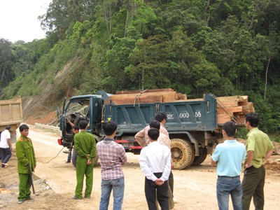Bí thư huyện ủy bắt gỗ lậu Bí thư huyện ủy bắt gỗ lậu