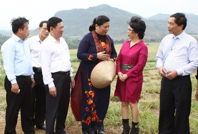 Hạn chế phụ thuộc vào sữa nhập khẩu Hạn chế phụ thuộc vào sữa nhập khẩu