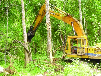 'Vàng trắng' khoắng rừng Tây Nguyên Khai hoang đất rừng nghèo trồng cao su ở Gia Lai