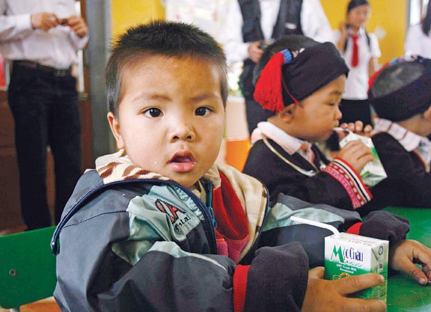 Khi nông dân làm cổ đông Chương trình sữa học đường đã được công ty cổ phần giống bò sữa Mộc Châu mở rộng đến hơn 2.000 em học sinh trên địa bàn Sơn La. Ảnh: Thao Nguyễn