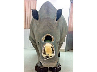 Khó xác định nguồn gốc sừng tê giác của ông Trầm Bê? Khó xác định nguồn gốc sừng tê giác của ông Trầm Bê?