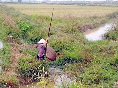 Lừa bán đất khống cho hơn 100 người Lừa bán đất khống cho hơn 100 người