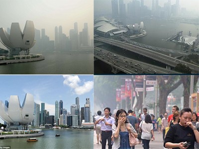 8 công ty Malaysia bị cáo buộc gây cháy rừng ở Indonesia 8 công ty Malaysia bị cáo buộc gây cháy rừng ở Indonesia