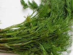 Thìa là làm thuốc, hạn chế ngộ độc thực phẩm Thìa là làm thuốc, hạn chế ngộ độc thực phẩm