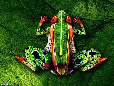 Body art: Biến người thành ếch Body art: Biến người thành ếch