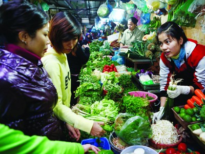 Rau “bẩn”, sẽ kỷ luật cán bộ Rau “bẩn”, sẽ kỷ luật cán bộ