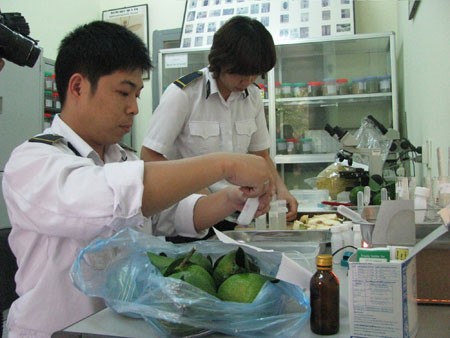 ‘Bó tay’ với củ, quả Trung Quốc qua đường tiểu ngạch ‘Bó tay’ với củ, quả Trung Quốc qua đường tiểu ngạch