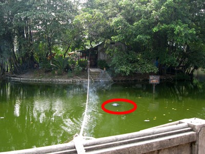Phát hiện xác chết cạnh Văn Miếu Hiện trường nơi phát hiện xác chết