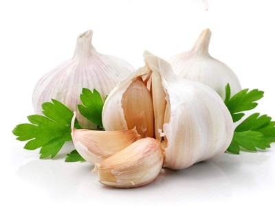 Phát hiện cơ chế giảm mỡ máu, giảm béo của dầu tỏi tía Phát hiện cơ chế giảm mỡ máu, giảm béo của dầu tỏi tía