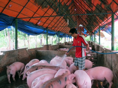 Chàng sinh viên kiêm triệu phú trang trại Chàng sinh viên kiêm triệu phú trang trại