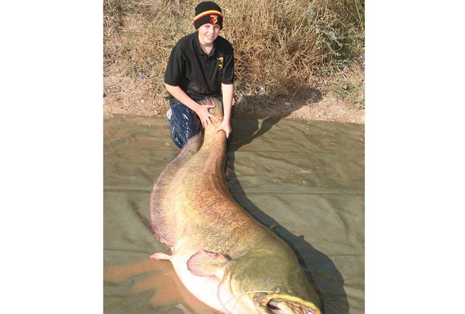 Cậu bé 13 tuổi câu được con cá nặng 95 kg Cậu bé 13 tuổi câu được con cá nặng 95 kg