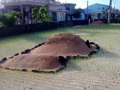 Những ngôi mộ mang tên Được trên đảo Lý Sơn Những ngôi mộ mang tên Được trên đảo Lý Sơn