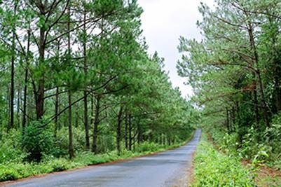 Hiếp dâm xong, chở nạn nhân về nhà và... đầu thú Hiếp dâm xong, chở nạn nhân về nhà và... đầu thú