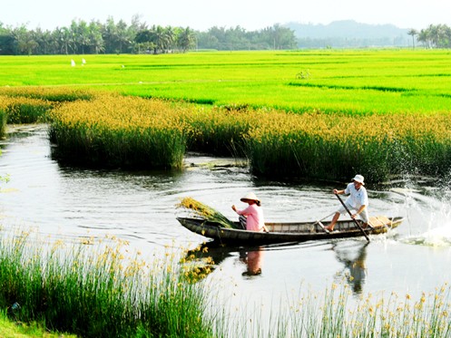 Kết của 'Cánh đồng bất tận': Tha thứ, có dễ không? Kết của 'Cánh đồng bất tận': Tha thứ, có dễ không?
