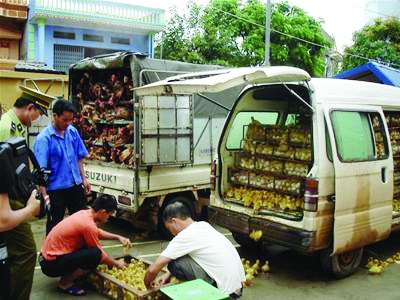 Thực phẩm bẩn ồ ạt nhập lậu Thực phẩm bẩn ồ ạt nhập lậu