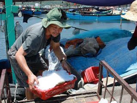 Khan hiếm hải sản cận tết Khan hiếm hải sản cận tết