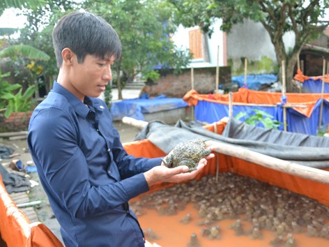 Cử nhân… ếch Cử nhân… ếch