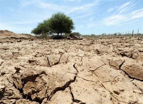 WB: El Nino có thể khiến giá lương thực thế giới tăng mạnh WB: El Nino có thể khiến giá lương thực thế giới tăng mạnh