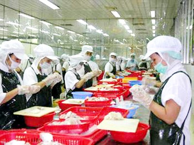 Thiếu vốn, xuất khẩu có nguy cơ đi xuống Thiếu vốn, xuất khẩu có nguy cơ đi xuống