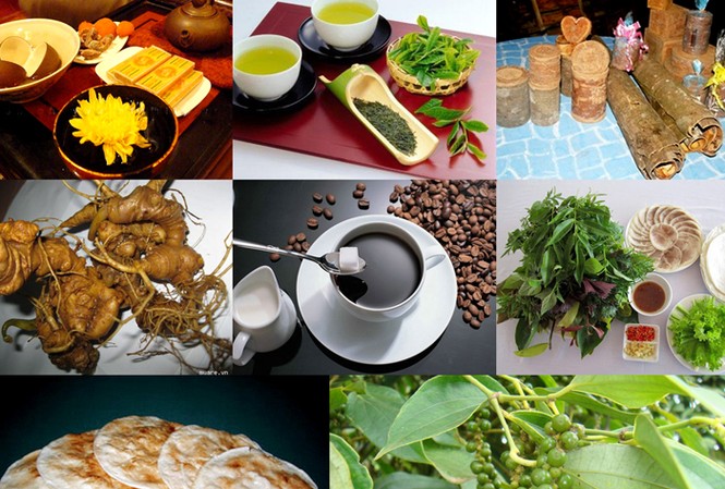Tám loại đặc sản Việt Nam lập kỷ lục châu Á Tám loại đặc sản Việt Nam lập kỷ lục châu Á