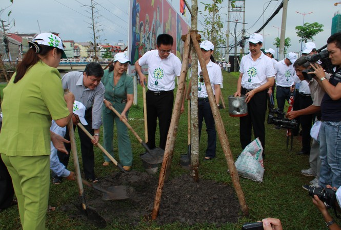 Thêm nhiều cây xanh cho thành phố Thêm nhiều cây xanh cho thành phố