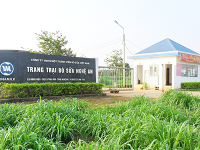 Trang trại Vinamilk đạt chứng nhận Iso 9001:2008 Trang trại Vinamilk đạt chứng nhận Iso 9001:2008