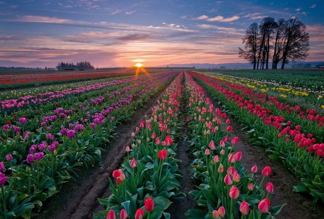 Hoàn cảnh sống hình thành lý tưởng sống Hoàn cảnh sống hình thành lý tưởng sống