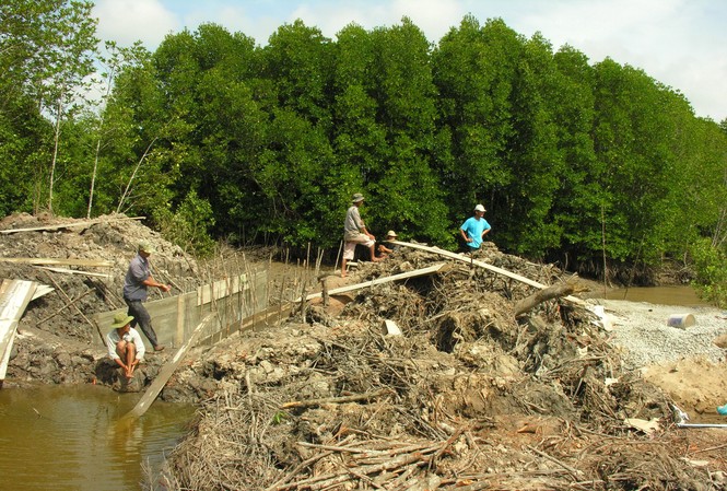Cán bộ tự cấp đất rừng hầu tòa Khu rừng phòng hộ bị giao khoán cho vợ con cán bộ, bị tàn phá để nuôi tôm