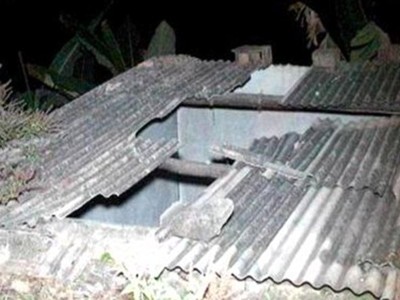 Bò rơi từ mái nhà đè chết người Bò rơi từ mái nhà đè chết người