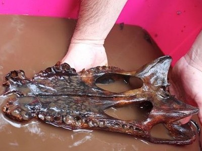 Hang động bí mật dưới nước ở Dominica Hang động bí mật dưới nước ở Dominica