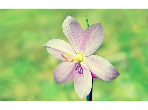 Thứ tư của bạn (23/8) Thứ tư của bạn (23/8)