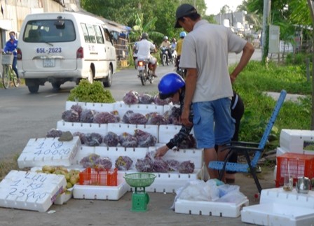 Siêu lợi nhuận từ bán nho Mỹ ‘dỏm’ Siêu lợi nhuận từ bán nho Mỹ ‘dỏm’
