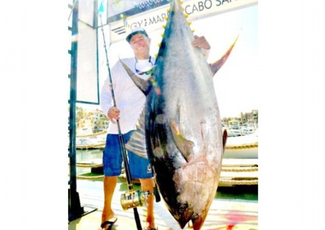Cá ngừ vây vàng 200kg giá 20 tỷ đồng Cá ngừ vây vàng 200kg giá 20 tỷ đồng