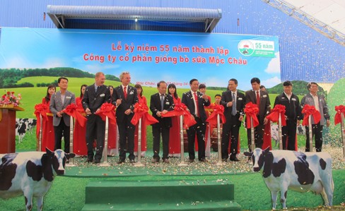 Mộc Châu có máy thức ăn cho bò đầu tiên ở Việt Nam Mộc Châu có máy thức ăn cho bò đầu tiên ở Việt Nam