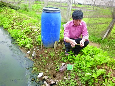110 ngàn tấn thuốc - ai kiểm soát? 110 ngàn tấn thuốc - ai kiểm soát?