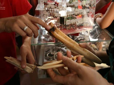 Đại gia săn đồ ngà voi Đại gia săn đồ ngà voi
