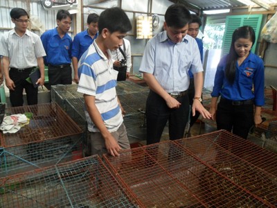 Bí thư Trung ương Đoàn thăm thanh niên làm ăn giỏi Bí thư Trung ương Đoàn thăm thanh niên làm ăn giỏi