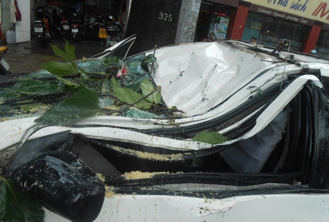 Cành cây cổ thụ rơi trúng taxi, 4 người thoát chết Cành cây cổ thụ rơi trúng taxi, 4 người thoát chết