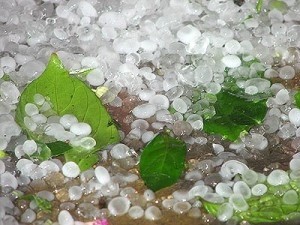 Mưa đá tiếp tục tấn công Lào Cai Mưa đá tiếp tục tấn công Lào Cai