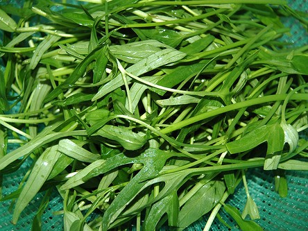 Cách rửa rau an toàn tuyệt đối Cách rửa rau an toàn tuyệt đối