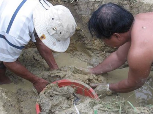 Nhà ngoại cảm cảnh báo... ngoại cảm giả Nhà ngoại cảm cảnh báo... ngoại cảm giả