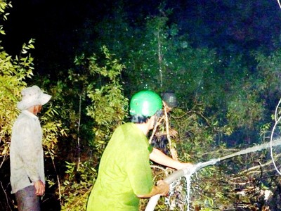 Cháy lớn rừng tràm Trại giam K3- Cái Tàu Cháy lớn rừng tràm Trại giam K3- Cái Tàu