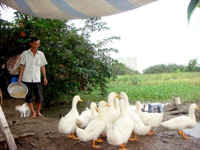 “Địa chủ” không tiền giữa Sài Gòn hoa lệ “Địa chủ” không tiền giữa Sài Gòn hoa lệ