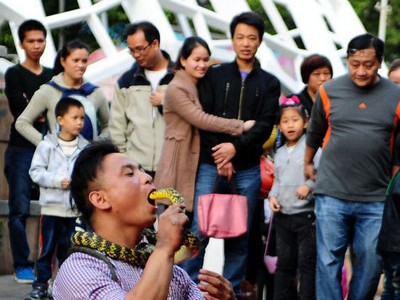 Chàng trai cụt 2 chân nuốt chửng rắn sống giữa phố Chàng trai cụt 2 chân nuốt chửng rắn sống giữa phố
