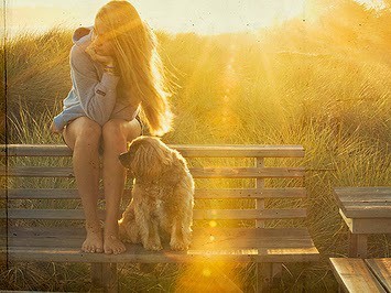 ‘Xin lỗi em, anh đã yêu... anh ấy’ ‘Xin lỗi em, anh đã yêu... anh ấy’