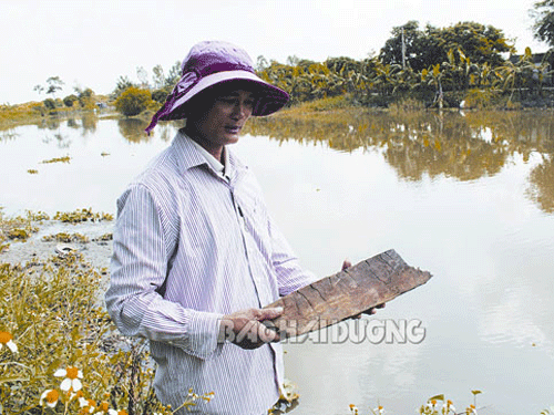 Phát hiện mộ thuyền khi đào ao Phát hiện mộ thuyền khi đào ao