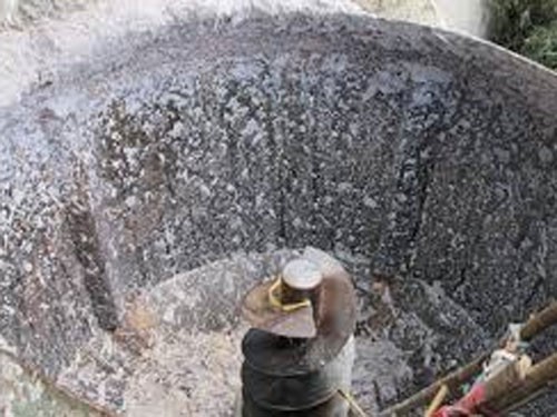 Bị máy xay thức ăn nghiền nát Bị máy xay thức ăn nghiền nát