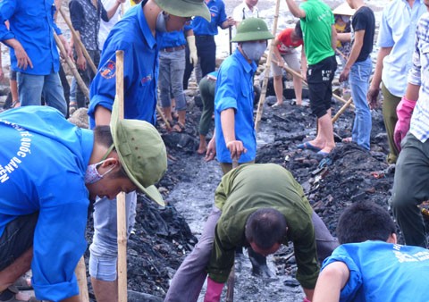Mùa hè xanh ở Thanh Hóa Mùa hè xanh ở Thanh Hóa